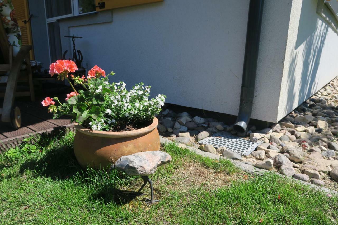 Apartmenti Zvejniekciema Saulkrasti Ngoại thất bức ảnh